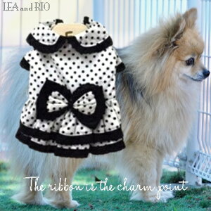 s[X XS`LTCY hX s ɏ ps[ ^ ^  L ybg  ̕ L̕  L hbg [X t tA { L[g 킢 ۋ ʖ͗l hbg