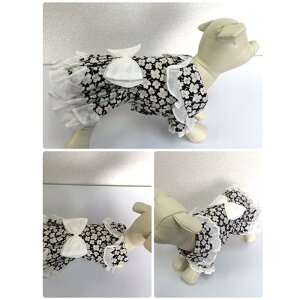 s[X STCY JWA K[[ hX s ɏ ps[ ^ ^  L ybg  ̕ L̕  L m hbOEFA ԕ `[t {  킢