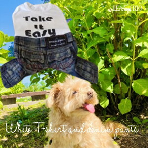 p[X XSTCY Jo[I[ I[C Ȃ pc {gX fj AJW JWA ɏ ps[ ^ ^  L ybg   L ̕ L̕ Vv 