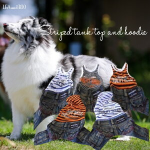 JWA{gXp[X XS`XXLTCY ^Ngbv Ȃ I[C m[X[u X[uX t?fB[ t[h fj FႢ R[f N {[_[ ɏ ps[ 