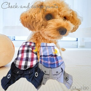 JWA|bvp[X S`LTCY Jo[I[ I[C Vc {gX  |bv 킢  JWA NR[f C` FႢ Ȃ m EFA ɏ