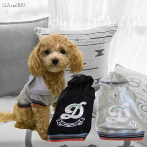 t[fB[gbvX JWA 킢  H~ p[J[ g[i[ t?fB[ t[h oCJ[   star |Cg ANZg ^ ɏ ps[ ^  L