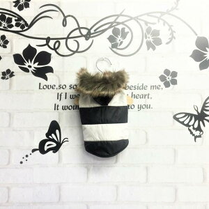 GRt@[×{[_[AE^[WPbg tFCNt@[ GRt@[ oCJ[ Wp[ AE^[ H ~ ɏ ps[ ^ ^  L ybg   L ̕ L̕ m 