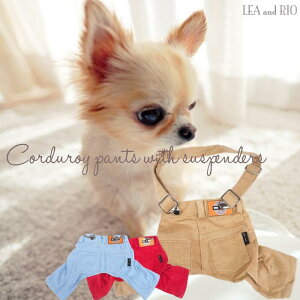 �T�X�y���_�[�t���{�g���X�p���c S�`XL�T�C�Y �����p�[�X �T���y�b�g �E�F�A ���킢�� �J�W���A�� ���m�g�[�� �����J���[ ���U�� �V���v�� �R�[�f�����C ���䒲�� 3�i���� �{�g���X �ɏ��� 