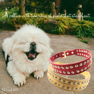  21`31cm т {v U[ J[  L ybg VRf   L ̕ L̕ ANZT[ ANZ p ybgp 킢 ACe i` Vv Xg[ rW[ L