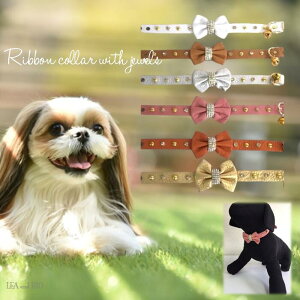 {rW[fUC 20`30cm т J[ ybgp lbNANZ ACe ANZT[  L ybg  L 킢 { ڂ rW[ LL y[ i` 