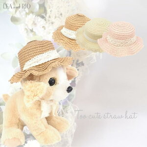 ���U�����y�����G�߃w�b�h�A�N�Z�T���[ XS�`L�T�C�Y �����X�q �ނ����X�q �X�g���[�n�b�g �V���v�� �A�C�e�� �A�N�Z�T���[ �X�q �n�b�g �R�b�g�����[�X �i�`������ �ɏ��� �p�s�[ ����