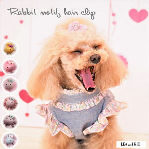 wANbvwANbv ob^ wAANZ wAANZT[ ̕ L̕  L m hbOEFA r[Y 킢 Vv { Nbv wAs ANZT[