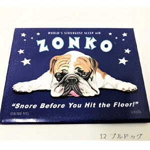 AJeCXgȃCXg }Olbg Lb`G ① |bv G CXg v[g v`Mtg G 񂿂  킢 `[t pO ~j`AViEU