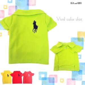 トップス ポロシャツ Tシャツ 皮膚トラブル スポカジ 極小犬 パピー 超小型犬 小型犬 中型犬 犬 猫 ペット 服 犬の服 猫の服 犬服 猫服 洋服 ビビットカラー かわいい おしゃれ カラフル リン