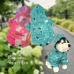 CR[gCR[g L`4LTCY JH h ^ ^ t[ht  L ybg  ̕ L̕  L m hbOEFA  S ACe N[ N FႢ 