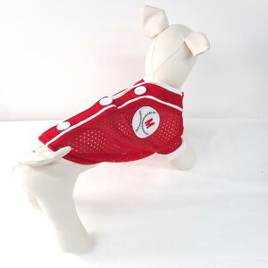 싅EFAgbvX 0`5 TVc jtH[ 싅 ps[ ^ ^  L ybg  ̕ L̕  L m hbOEFA  t 킢  JWA X|JW X