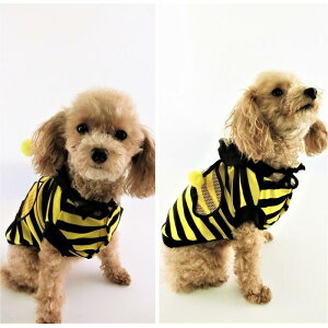 ͂ƂǂĂƂgbvX 0`5 p[J[ t[fB[  ̕ L̕  L m hbOEFA ĂƂ ͂ Cxg CX^f nEB RX RXv  RX`