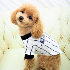 �싅���j�t�H�[���g�b�v�X 0�`8�� T�V���c ���j�t�H�[�� �싅 �p�s�[ �����^�� ���^�� ���^ �� �L �y�b�g �� ���� �L�� ���̕� �L�̕� �m�� �h�b�O�E�F�A �E�F�A ���킢�� ���������� �������