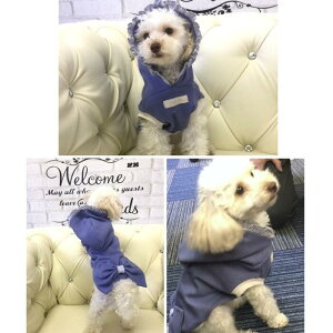 JWAt[fB[gbvX 4 5 t[h p[J[  fC[ JWA ڂ ̕ L̕  L EFA 킢  { L[g i` t Vv n