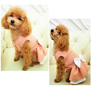 �K�[���[�f�U�C�������s�����s�[�X XS�`L�T�C�Y ���� �V���v�� �i�`������ ������� �p�X�e���J���[ �I�[���V�[�Y�� �J�W���A�� �t�� ���{�� �{�[�_�[ �`�F�b�N ���̎q �����s �h���X �ɏ�