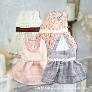 ӂJ[ss[X XS`LTCY 킢 T}[hX fB p[eB[ dog i` s hX ɏ ps[ ^ ^  L ybg  ̕ L̕  L