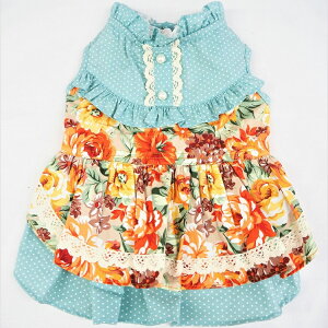 g|bvȕ͋Cs[X 1`6 Rbg[X  fB[ ԕ g  60N㕗 Vv nhCh s hX hbg ԕ ɏ ps[ ^ 