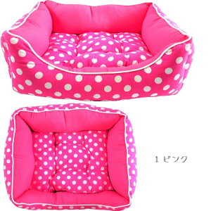 XNGA^xbhxbh XLTCY \t@[ NbV zc Q bNX ӂ  ACe }`J[ K Jh[ XNGA ɏ ps[ ^ ^ ^  L