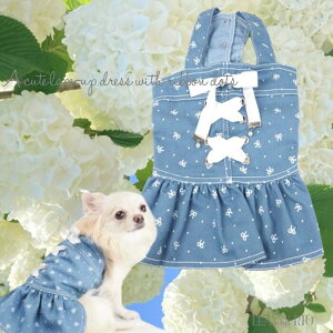 WXJss[X 2`5 Wp[XJ[g WXJ s m EFA { hbg fj pXe 킢 JWA ɏ ps[ ^ ^  L ybg 