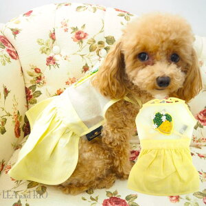 s[X 2`5 L̕ r[Y rW[ m EFA I[KW[ VN ^CVN nhCh `CihX Xg[ i` t Rbg s hX ɏ ps[ 