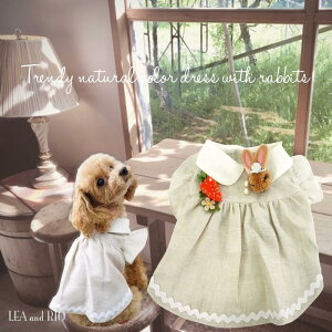 郏s[Xs[X 0`5 ɏ ps[ ^ ^  L ybg   L ̕ L̕ nhCh m 킢 i` EFA rbg nCEGXg 