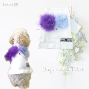 gbvX 1`4 TVc `rT T Vv  L ybg   L ̕ L̕ m hbOEFA قق t@[ tFCNt@[ GRt@[ r[Y rW[  킢 J