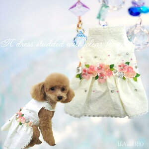 happy weddingIIs[X 0`5 hX s p[eB[hX V[NC Xg[ rW[ XpR[ tH[} ɏ ps[ ^ ^ ^  L ybg   L 