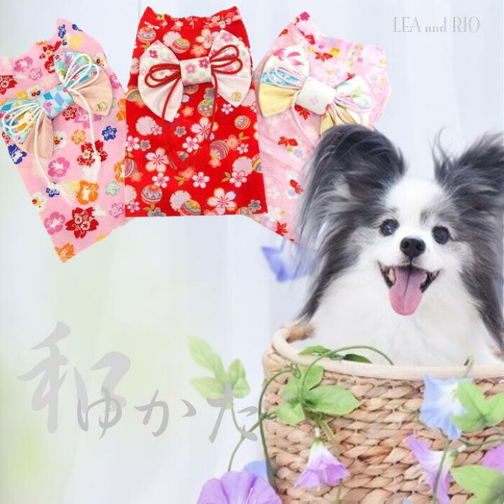 楽天市場】涼やかなリップル生地浴衣 0～6号 猫服 洋服 犬の服 猫の服 