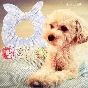 ɏ ps[ Xk[h STCY C[oh  L ybg  L L̕ nhCh  ꎨ Jo[ MTCY LTCY ANZT[ p_ Xgx[ 킢  J