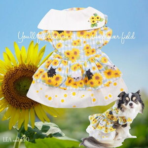 Ă𒅂郏s[Xs[X 0`6 s hX ^ ^  L ybg  ̕ L̕  L m hbOEFA dog Rbg T}[  [X ̎q  t 