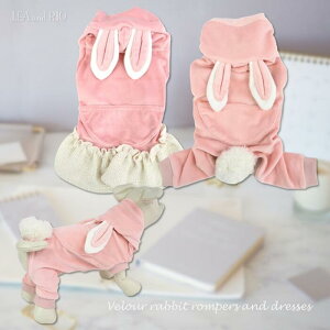 Œ􃏃s[X Jo[I[  NR[f ӂ  rbg H~ ɏ ps[ p[X ^ ^ nhCh  L ybg   L ̕ 