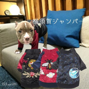 {Wp[WPbg 0`6  MNV[ {Wp[ gbvX  AE^[ XJW ɏ ps[ ^ ^ Wp[  L ybg   L 