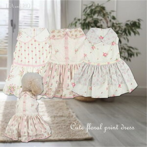 i`ss[X ݃J[ t ĕ g s ԕ ɏ ps[ ^ ^  L ybg  ̕ L̕  L JWA Jg[ m EFA 