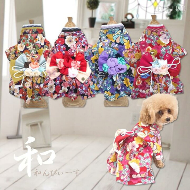 楽天市場】今年も大人気！！和んぴぃすワンピース 極小犬 パピー 超 