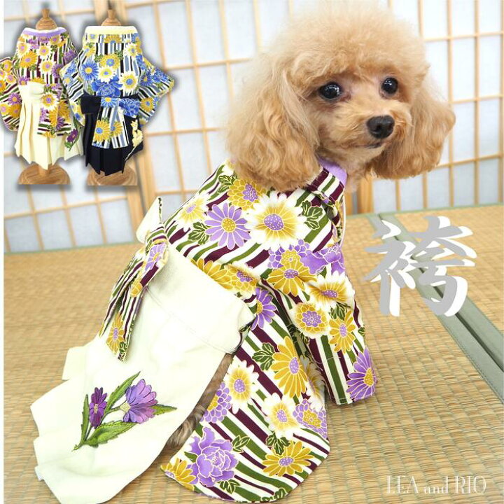 楽天市場】大正ロマン薫る袴袴 0～6号 服 犬服 猫服 犬の服 猫の服 超 
