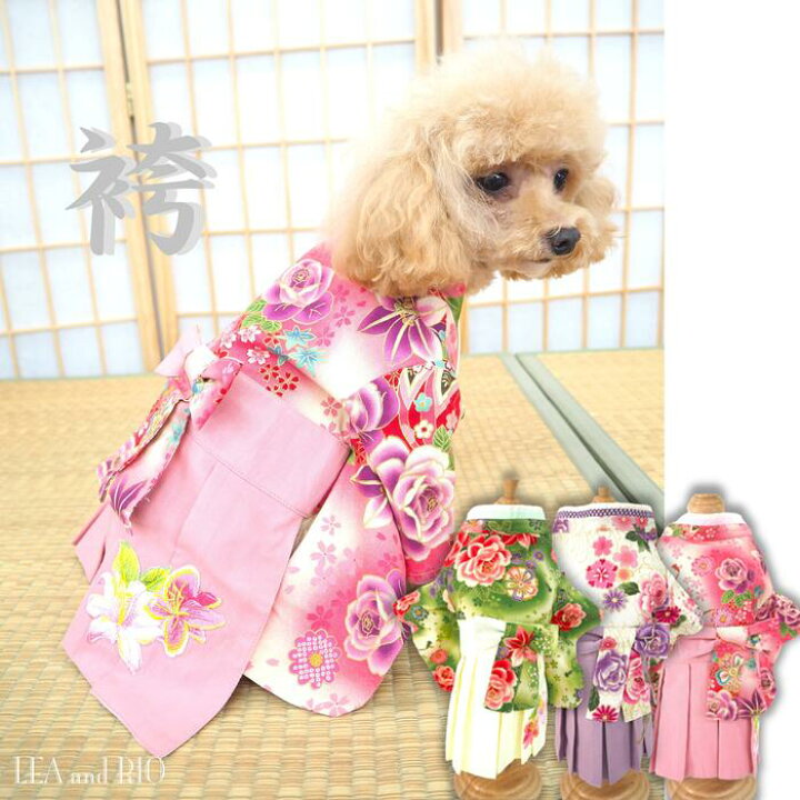 楽天市場】大正ロマン薫る袴袴 犬服 猫服 犬の服 猫の服 ウェア 超小型 