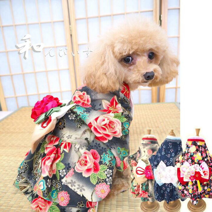 楽天市場】和と洋の良い所取り和んぴぃす 0～6号 猫服 犬の服 猫の服 