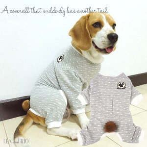 VvfUCp[Xp[X 1`5 Ȃ I[C [EFA ̕ L̕  L m EFA `FbN hbg 킢 GRt@[ t@[ JWA Jo[I