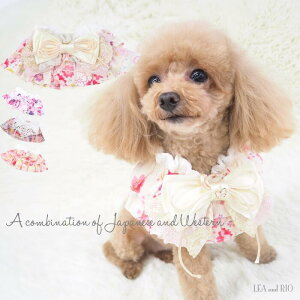 P[v 1`7 { lbNANZ fB rW[ LC a ANZT[ ybgp ɏ ps[ ^ ^  L a a_ 킢 ڂ [X eBA[ht yb