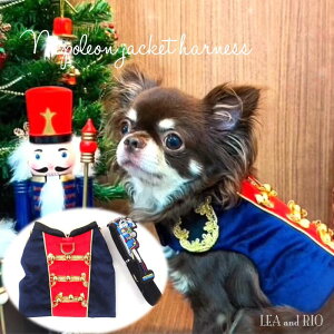 m̂悤ȃn[lXn[lX 1`6 gbvX X[uX m[X[u t xXg ڂ nhCh  bV NbVޓ  ps[ ^  L ybg  