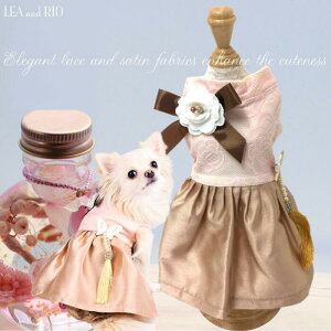 iȃhXss[X 1`6 hX tH[} LO s I[KW[ ^CVN VN m EFA ɏ ps[ ^ ^  L ybg  ̕ L̕  L