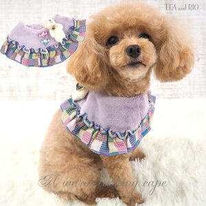 P[v 1`6 lbNANZ ANZT[ fB 킢 LC ybgp ɏ ps[ ^ ^  L pXeJ[ `FbN  ӂӂ t@[ efBxA t 