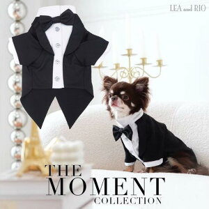 gbvX ^LV[h X[c tH[} ꒅ lN^C L ybg  ̕ L̕  L m hbOEFA  킢 N[  Vv p[eB[  l