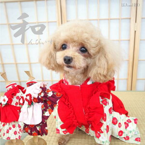 a𒅂a҂[s[X 1`7 Œ   U nt dˋ EFA ^ ݃J[   a a a ÓT Rbg ɏ ps[ 