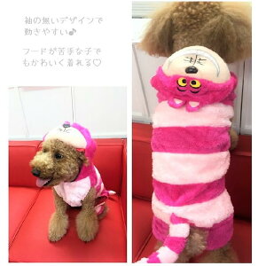 ybgpRX`[p[X 1`5  I[C t?fB[ p[J[ ps[ ^ ɏ ^  L ybg   L ̕ L̕ ˂ {[_[ hbOEFA 