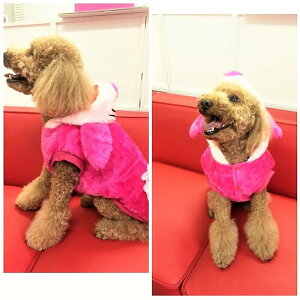 ybgpRX`[ RX`[ 0`5  p[J[ t[fB[ Ԃ ps[ ^ ɏ ^  L ybg  ̕ L̕  L m hbOEFA JWA 