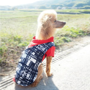 �t�H�[�}���g�b�v�X�g�b�v�X S�`XXL�T�C�Y �^�L�V�[�h �X�[�c �Z�~�t�H�[�}�� �t�H�[�}�� �m�� �璹�i�q �^�[�^���`�F�b�N ���l�N�^�C �`�F�b�N�� ���{�� �E�F�A �x�X�g ���������� �ɏ��� 