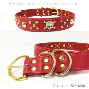 ^pTCY 48`63cm т J[ lbNANZ   L ANZT[ ACe o U  N[ S Vv  胂`[t  [ XJ Xg