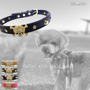 LLXJ 28`37cm J[ т X^bY ANZT[ lbNANZ  ^ ^  L ybg   L r[Y [ XJ  ꂱ rW[ AC